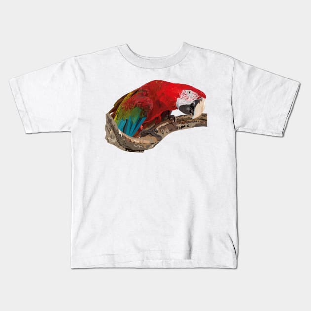 Red-and-green Macaw Kids T-Shirt by obscurite